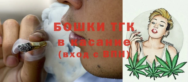 гидра Вязьма