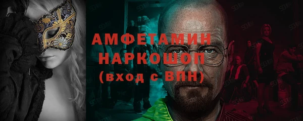 гидра Вязьма