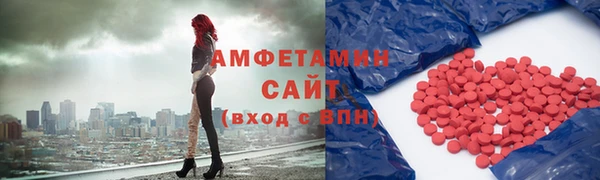 прущая мука Вяземский