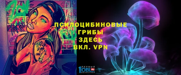 гидра Вязьма